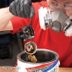Pro Tips for Cleaning a Lawn Mower Carburetor