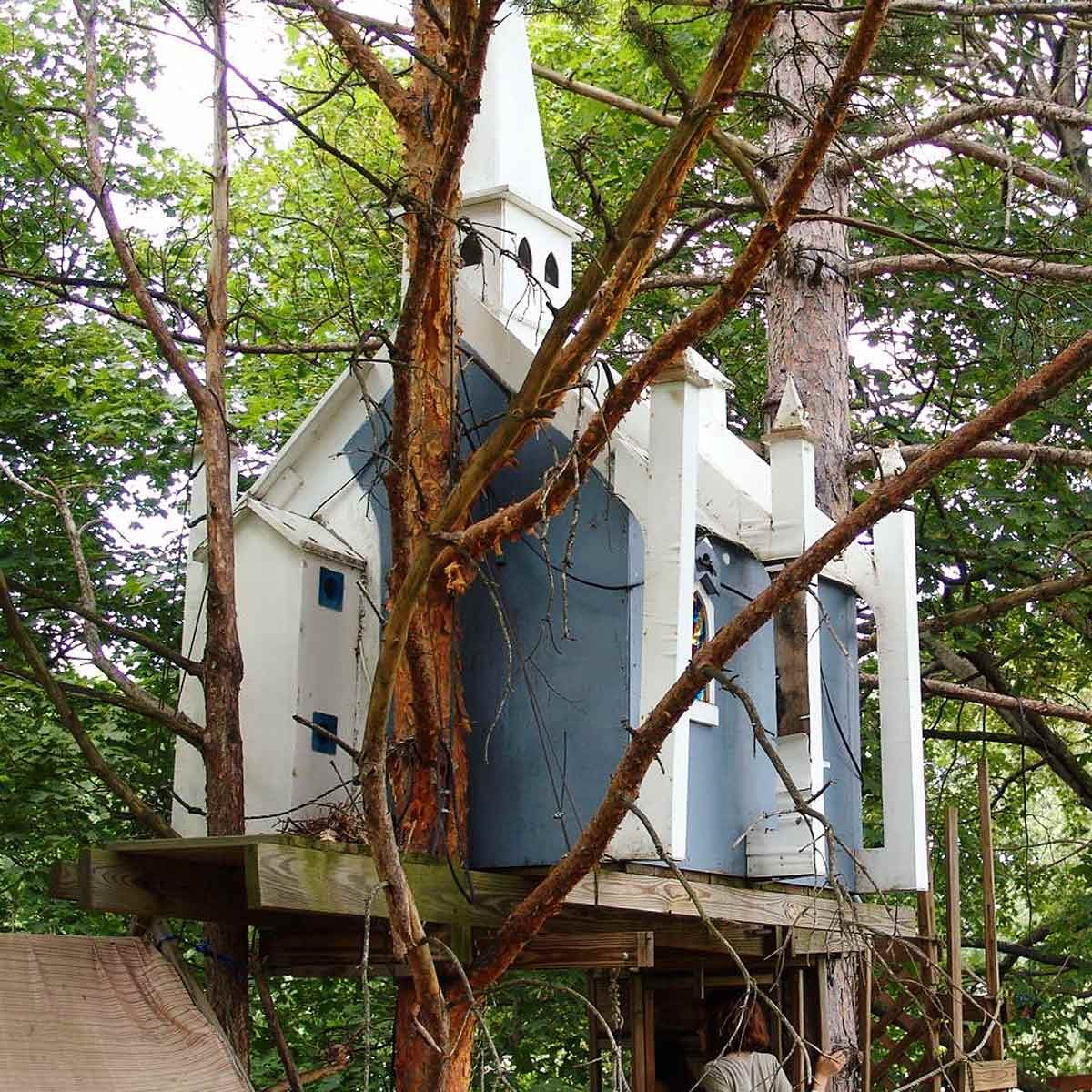 DIY Treehouse Building Tip 1: Site considerations