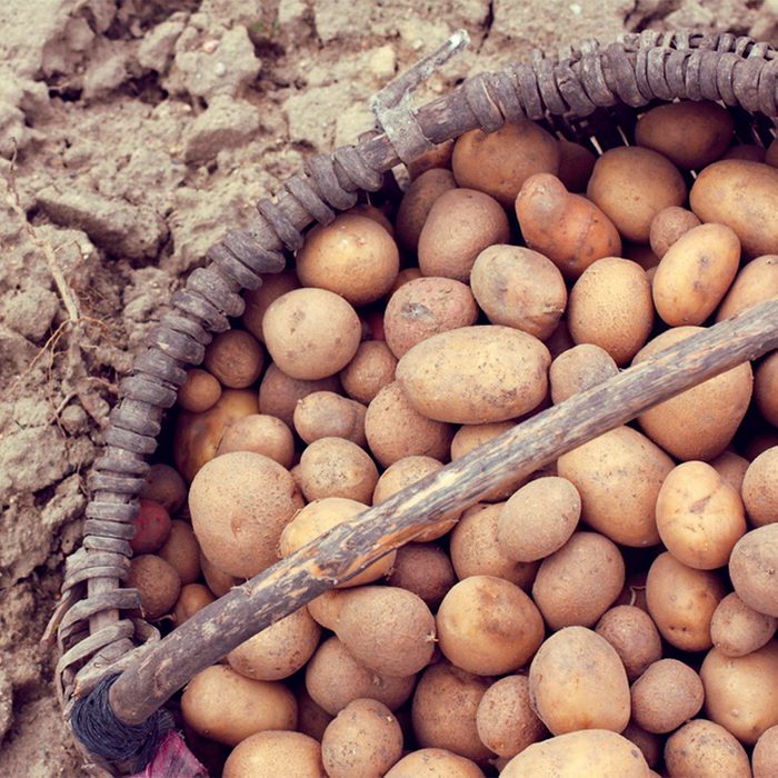 Put Your Old Containers to Work Again