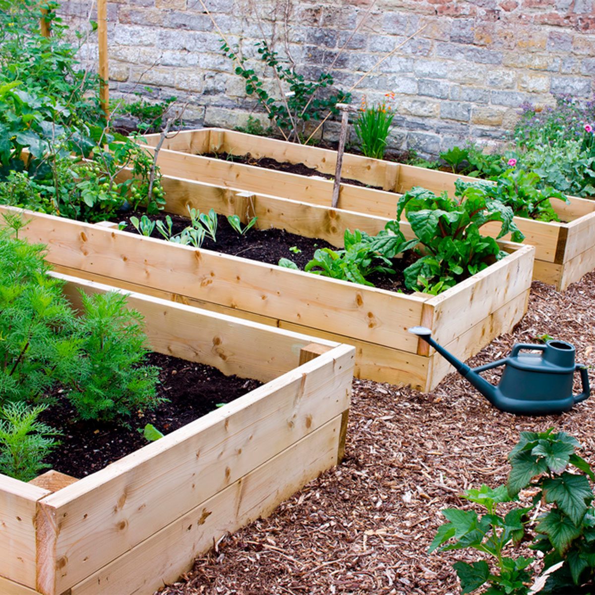 Raised Beds and Planters