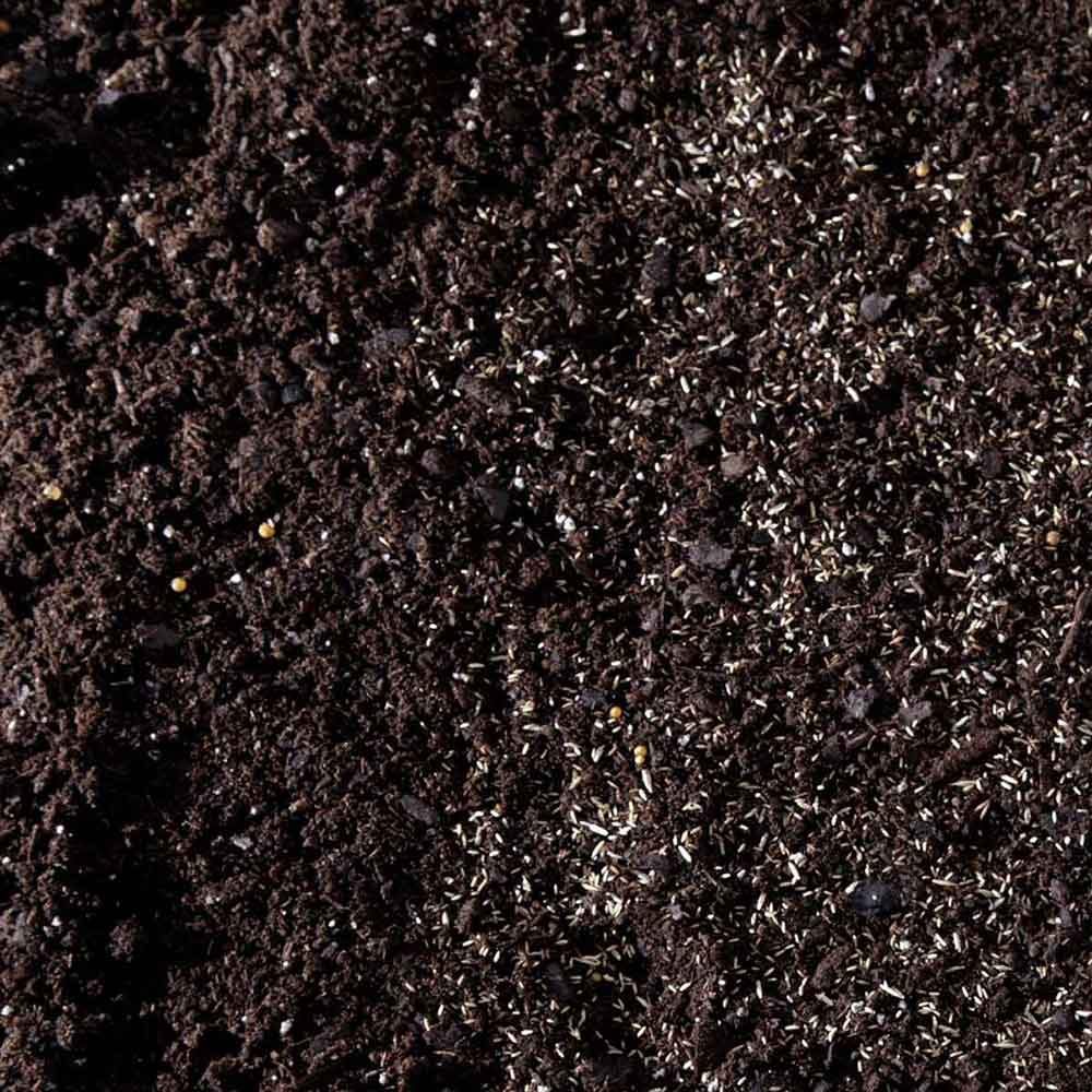 Reseed Late in the Growing Season