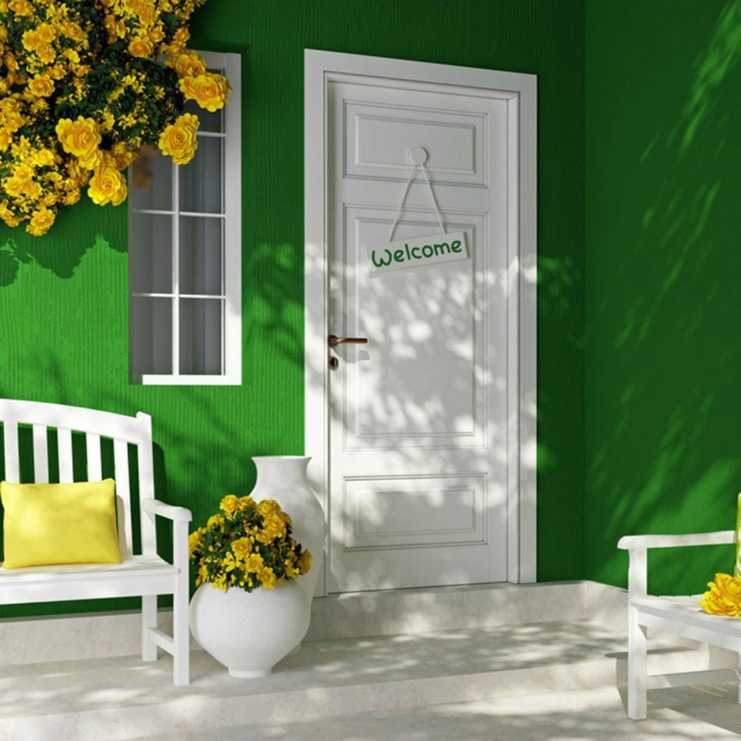 white front door with lime green exterior paint siding