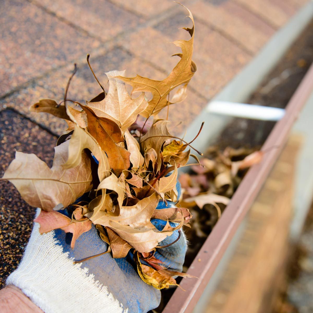 Clean the Gutters