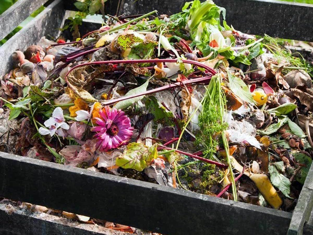 dfh17sep038_156179237_04-1200x1200 compost