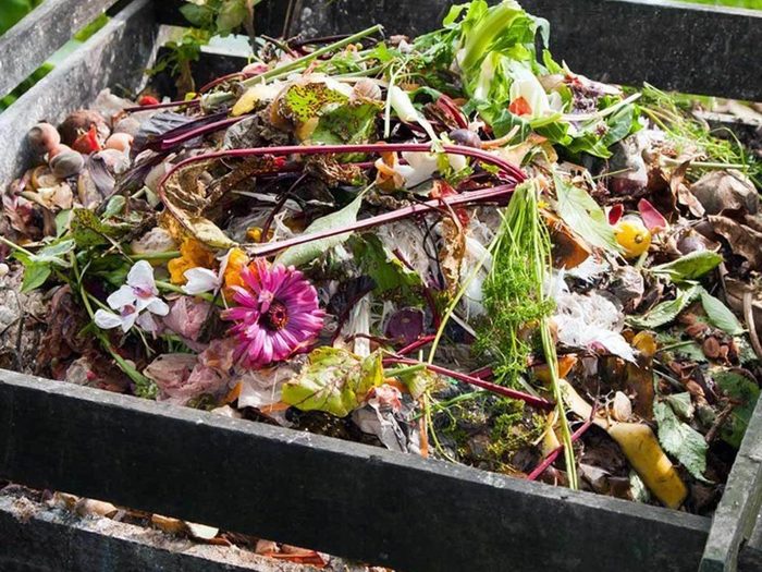 dfh17sep038_156179237_04-1200x1200 compost