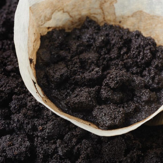 coffee grounds coffee filter