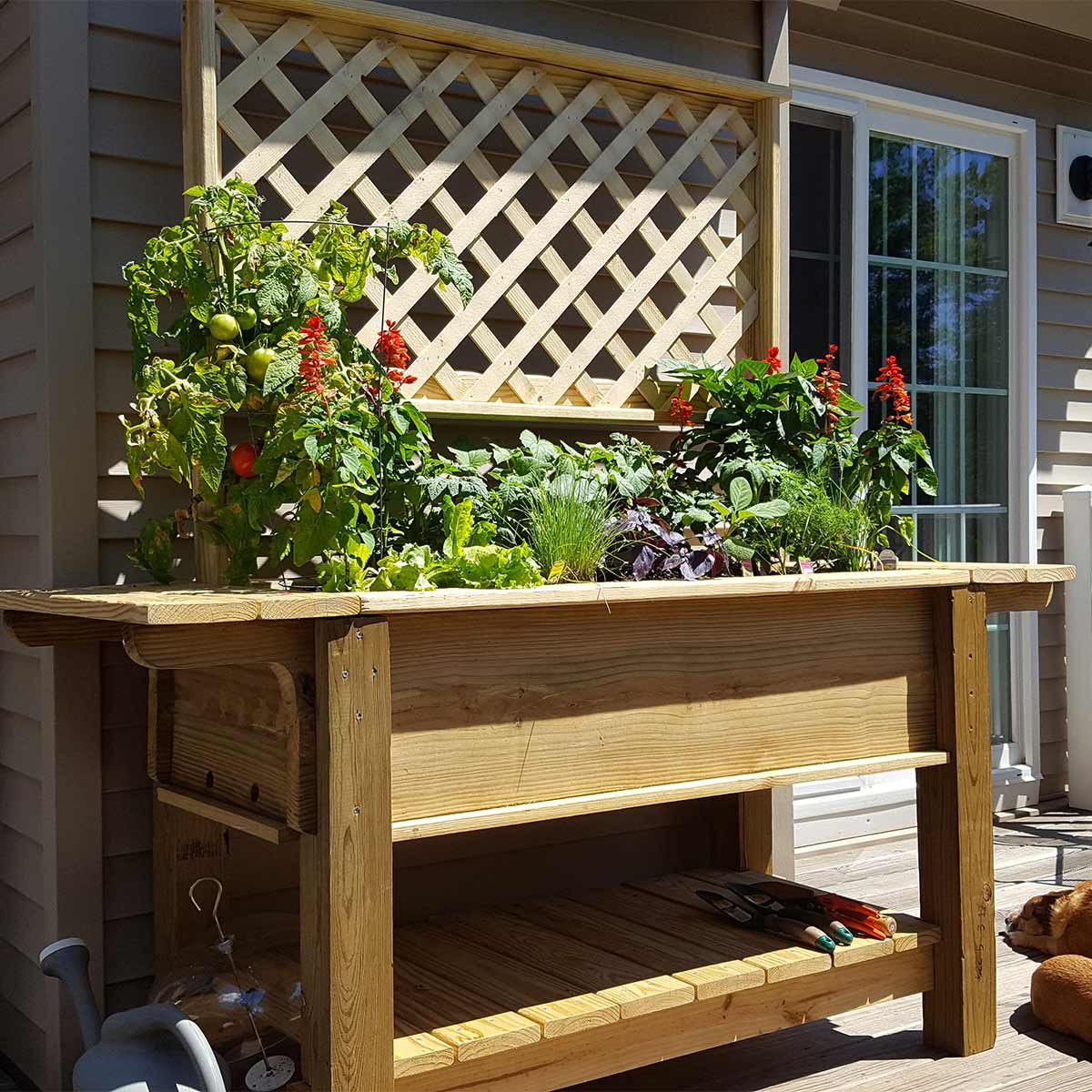 Right-Height Planter