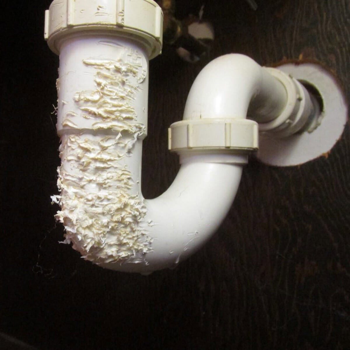 P-trap, not mouse trap