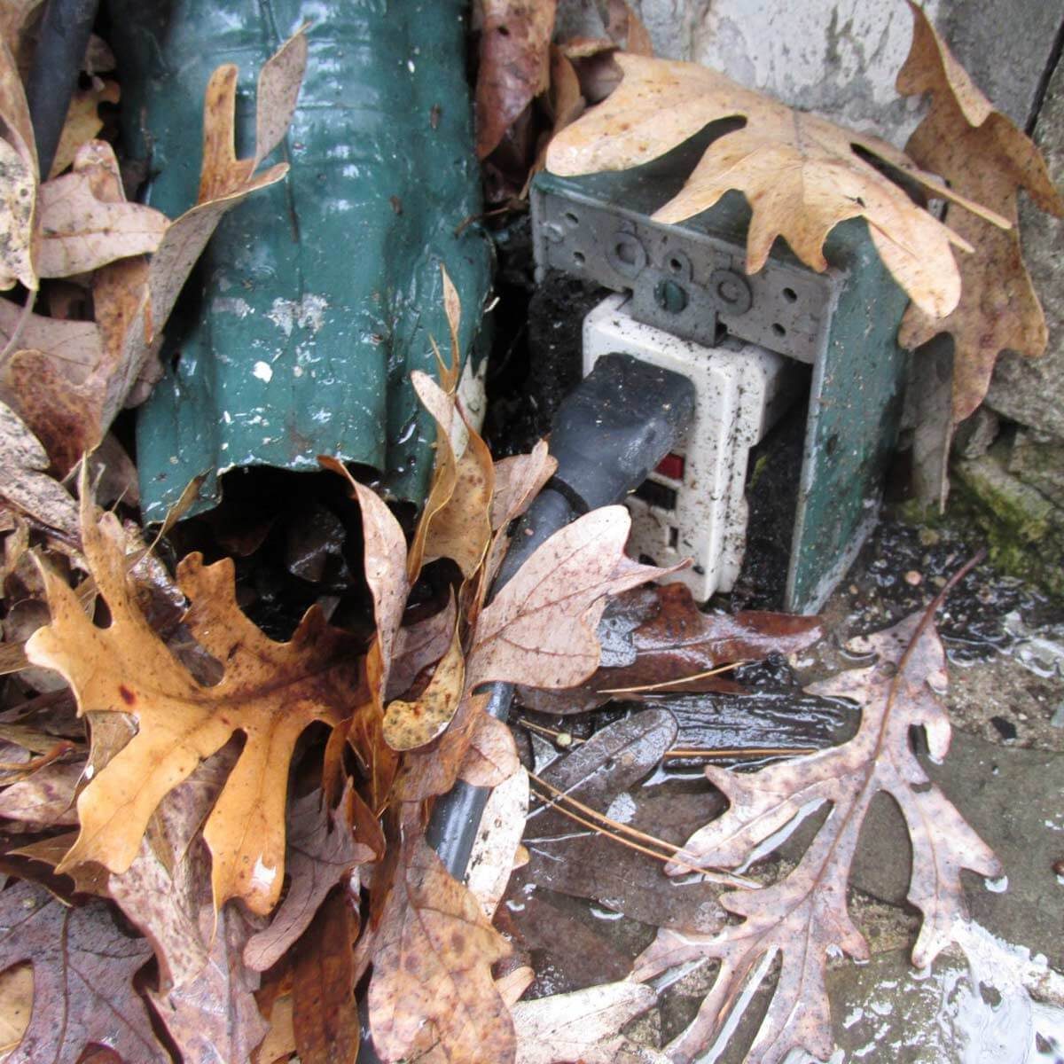 Homeless mouse shelter