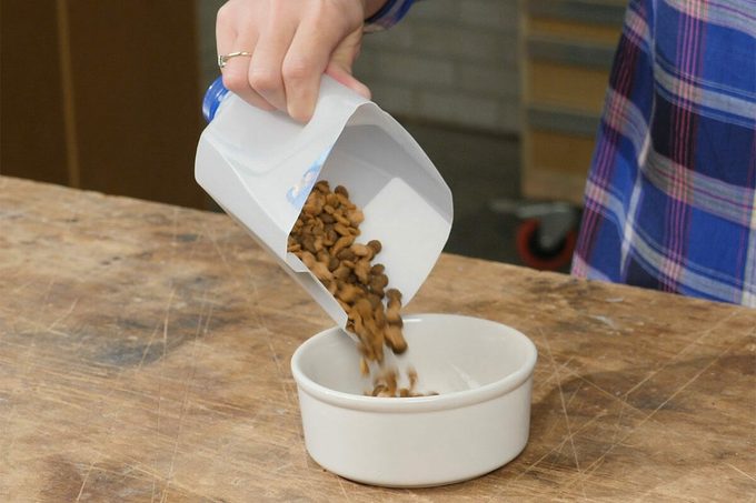 milk jug scoop for pet foot