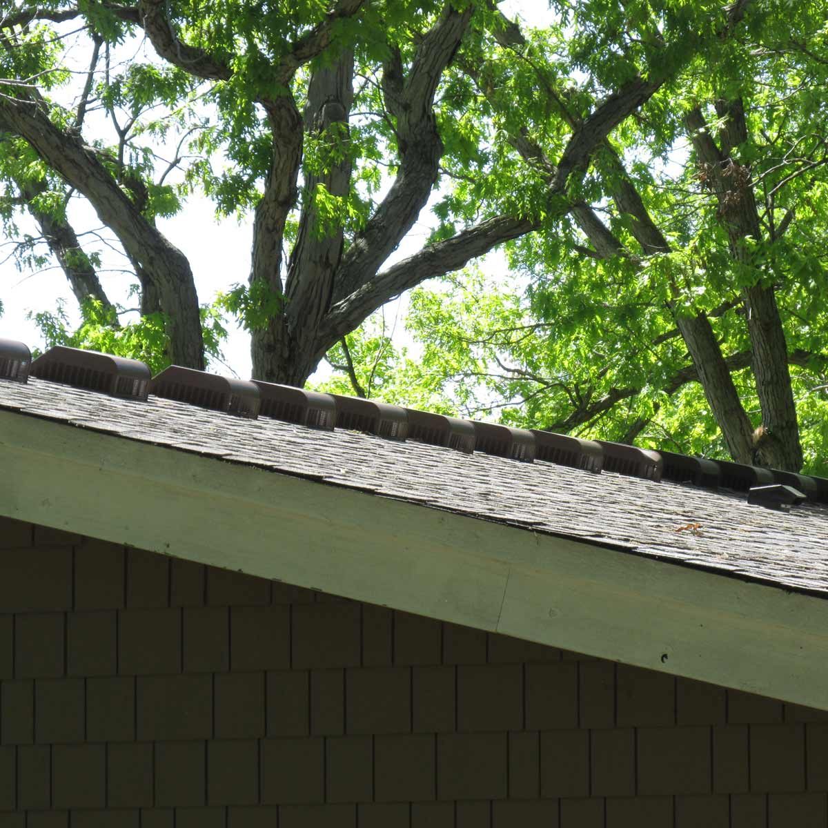 March of the roof vents