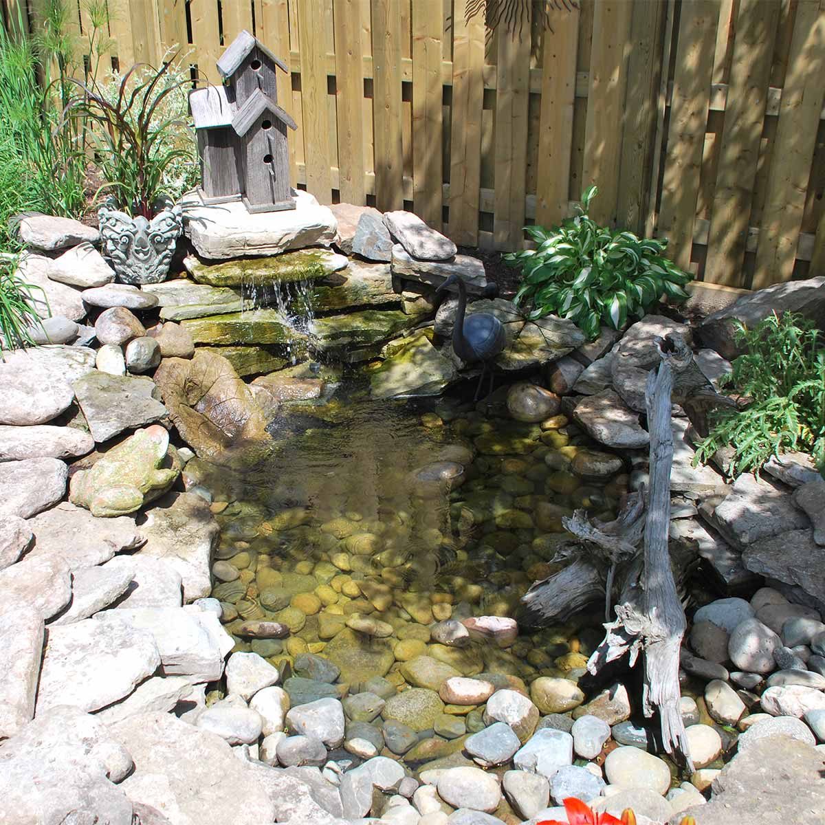 Pond Upgrade