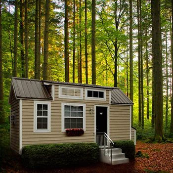 A small house with a metal roof sits among tall trees in a lush forest. A pathway leads to its front steps, surrounded by greenery.