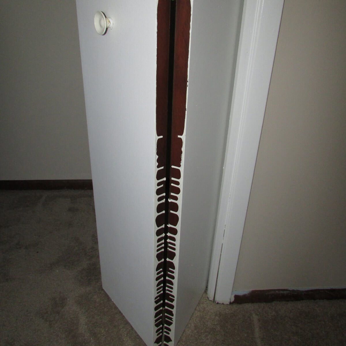 Rorschach door painting