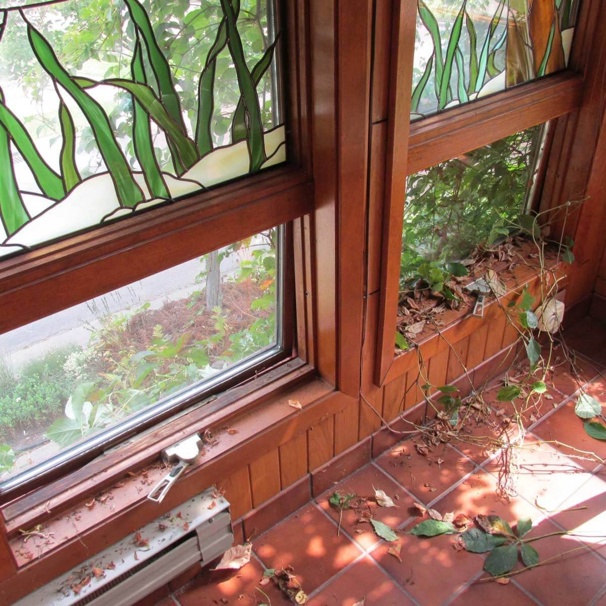 Accidental greenhouse