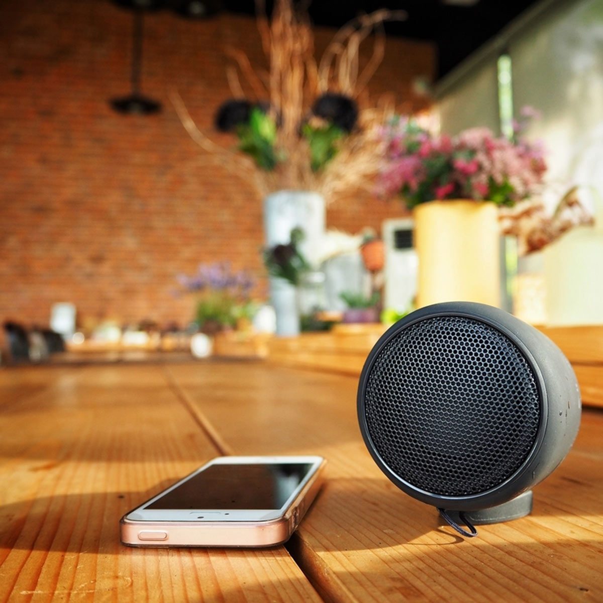 dfh12_shutterstock_675662026 phone bluetooth speaker