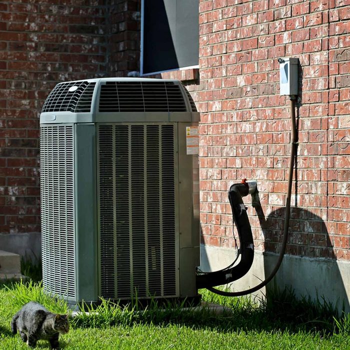 An air conditioning unit stands against a brick wall, with a cat walking nearby on green grass, accompanied by a visible pipe connection.