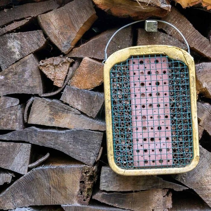 A rectangular object with a grid and holes hangs on a wooden backdrop, consisting of stacked, cut logs, suggesting a rustic environment.