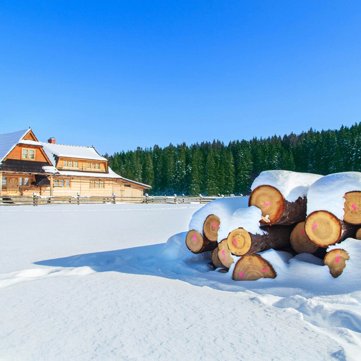 Logs covered with snow rest on a snowy ground beside a wooden house, surrounded by a snowy landscape and tall evergreen trees under a clear blue sky.