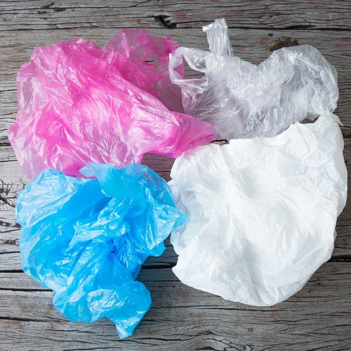 Plastic Bags are Recyclable Just Don’t Put Them in the Bin