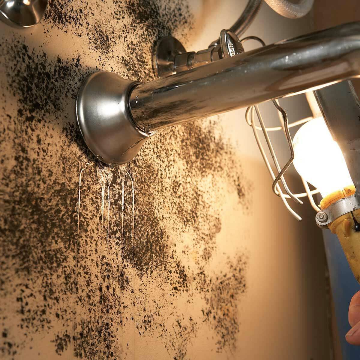 A metal pipe leaks water, running down a wall covered in black mold, beside a light bulb in a protective cage, illuminating the area.