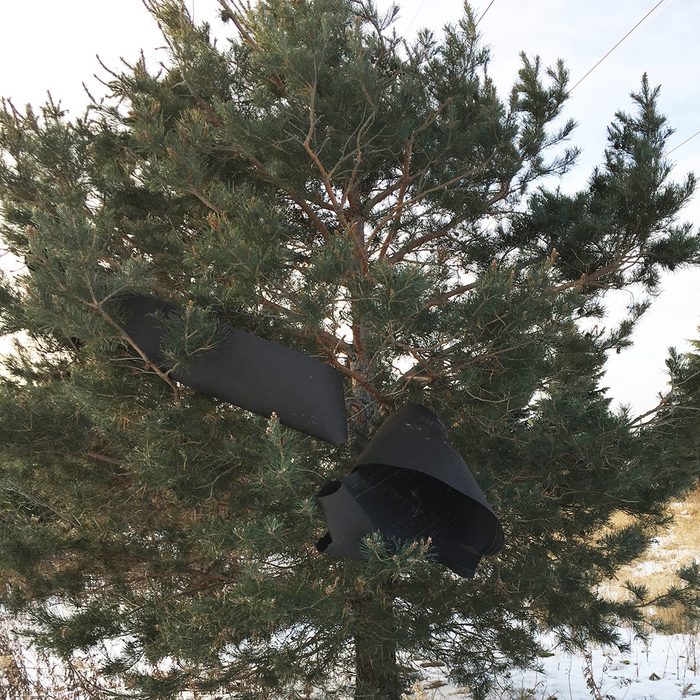 Stays down in the wind