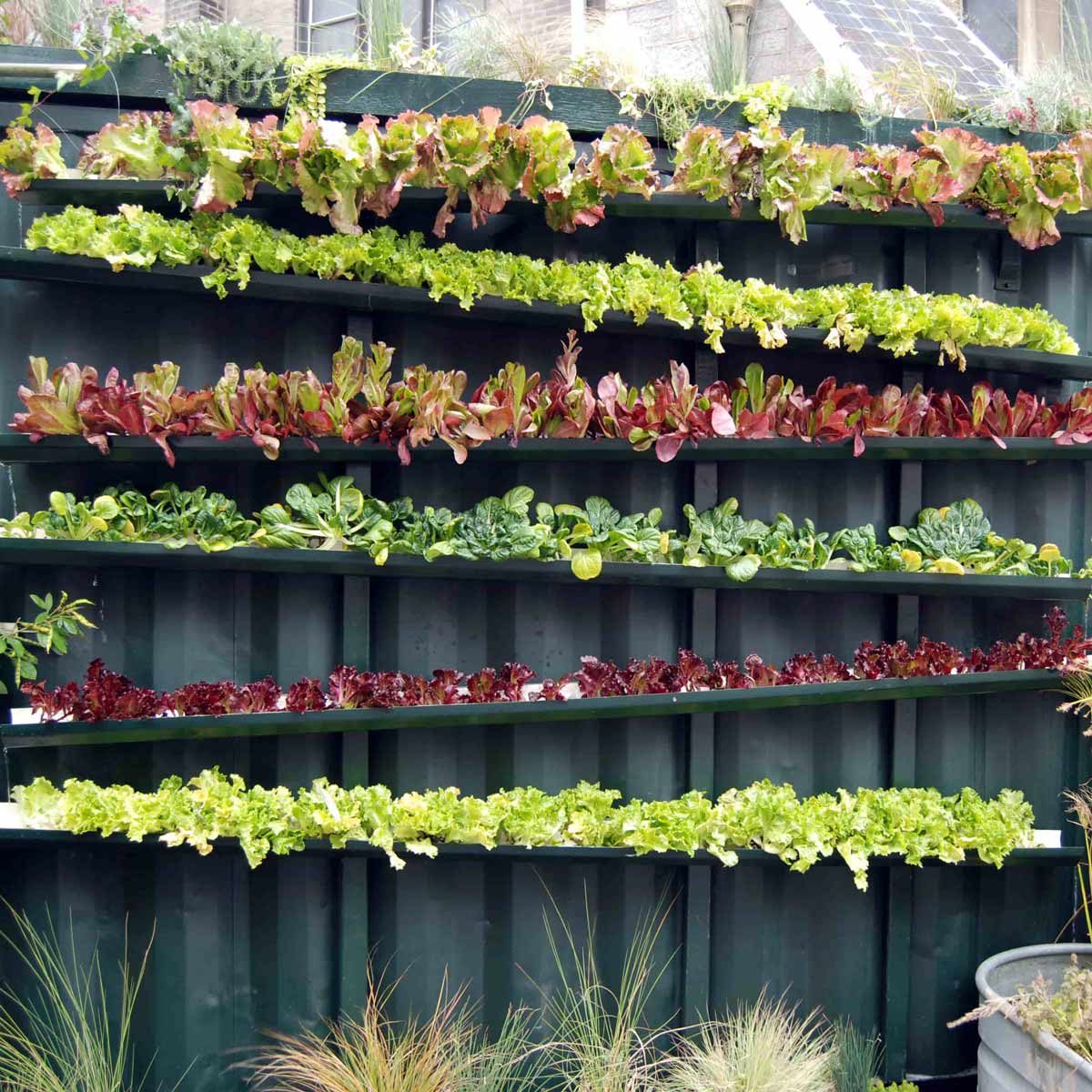 rain gutters planter