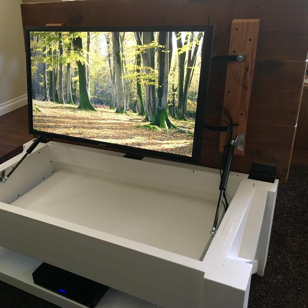 A television displays a forest scene, raised from a white storage unit. The environment features wooden elements and a carpeted floor.