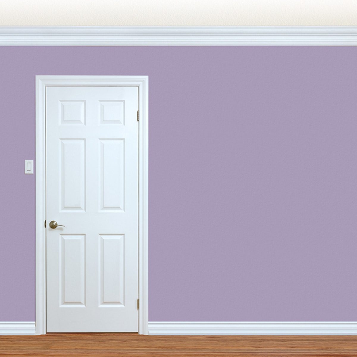 shutterstock_436194085 thin white trim door