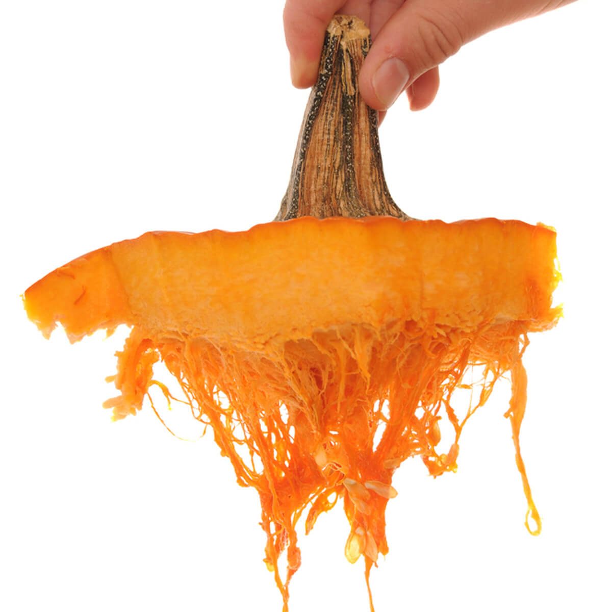 A hand holds a pumpkin top with visible orange flesh and fibers, against a blank white background.