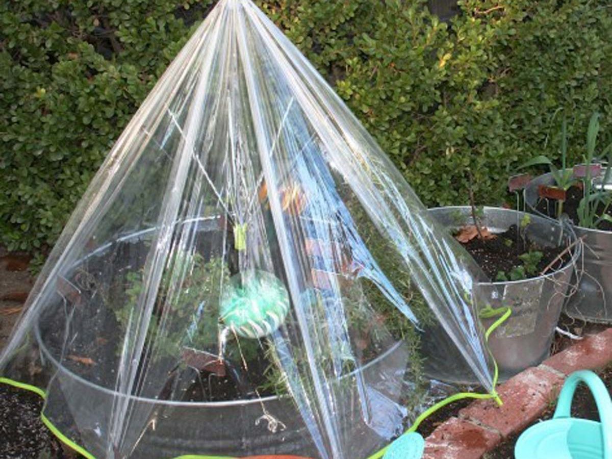 umbrella greenhouse deck greenhouse