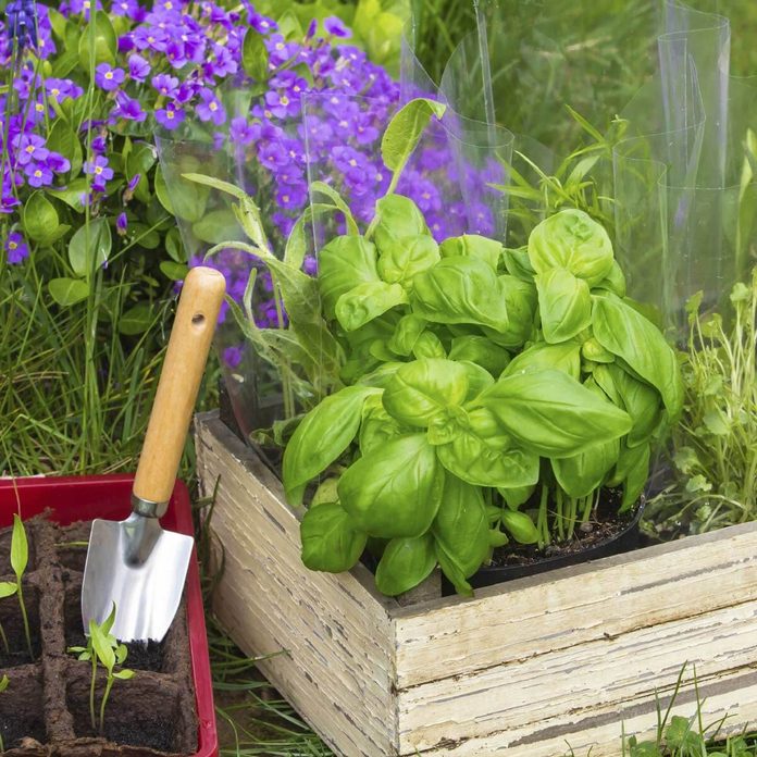 cabinet drawer flower planter