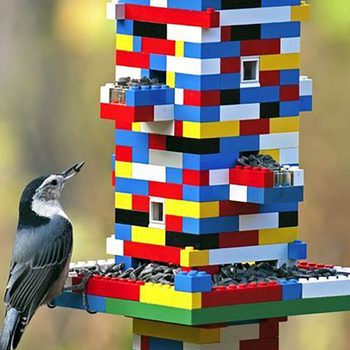A bird stands beside a colorful LEGO bird feeder filled with seeds, set against a blurred natural background.