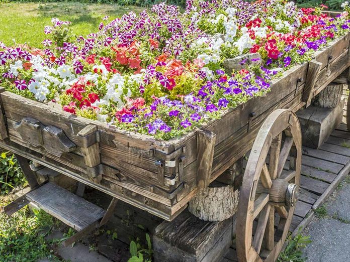 flower-cart