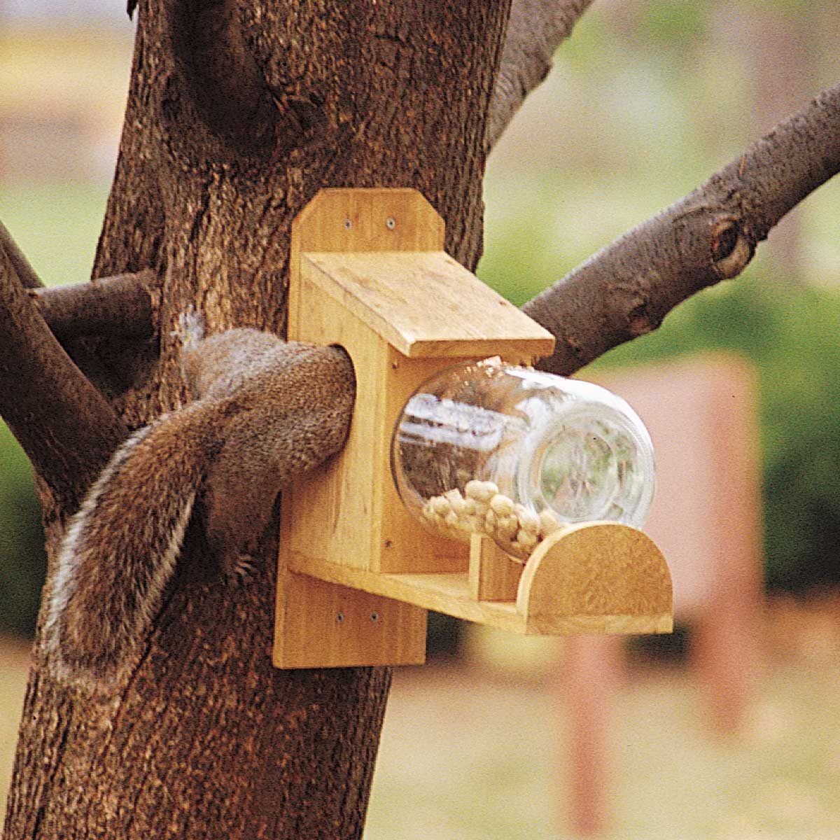 entertaining squirrel feeder half way