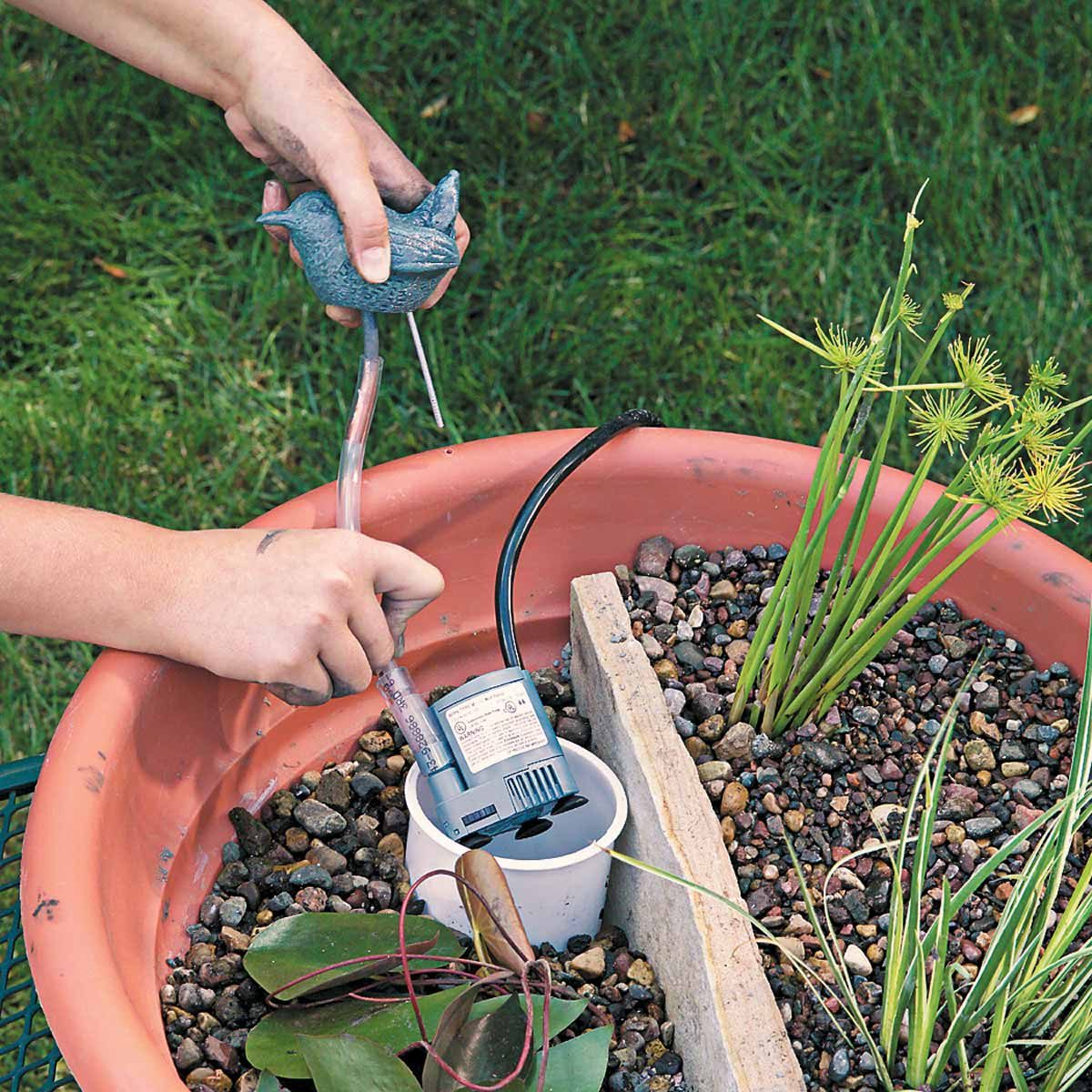 water gardens pea gravel