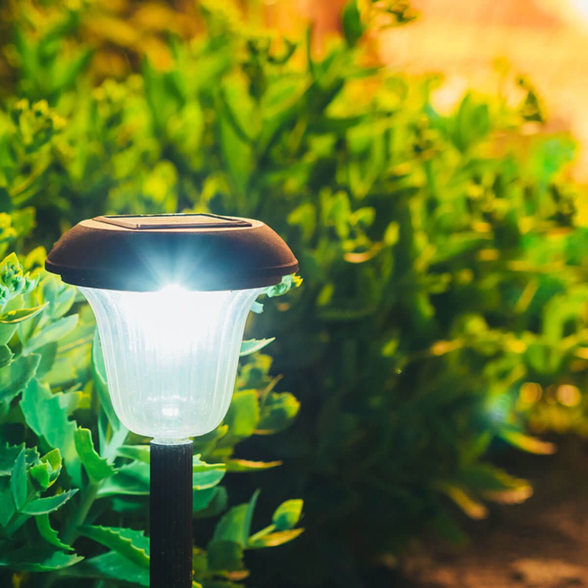 outdoor solar path lights