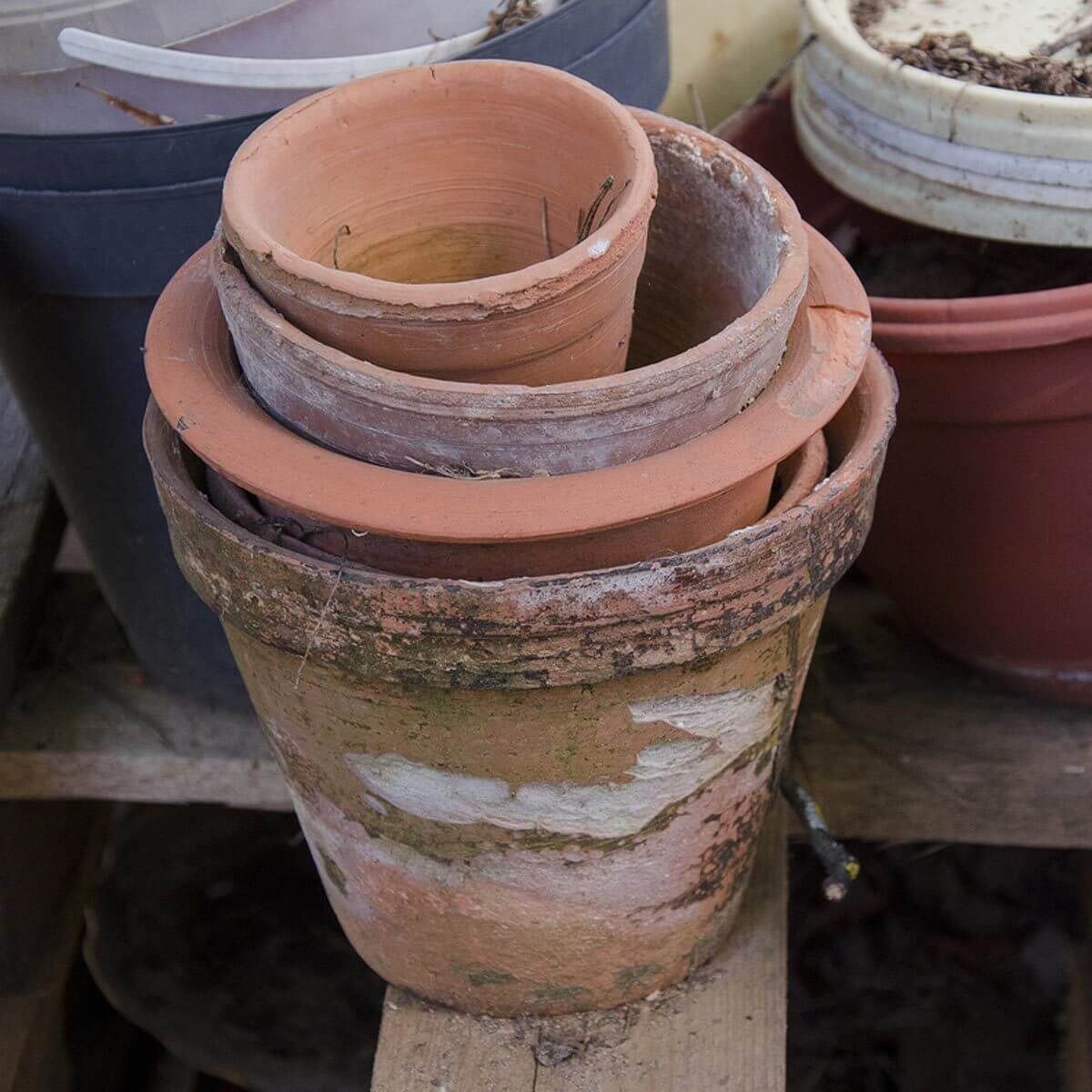 Terra Cotta Pots Dishwasher
