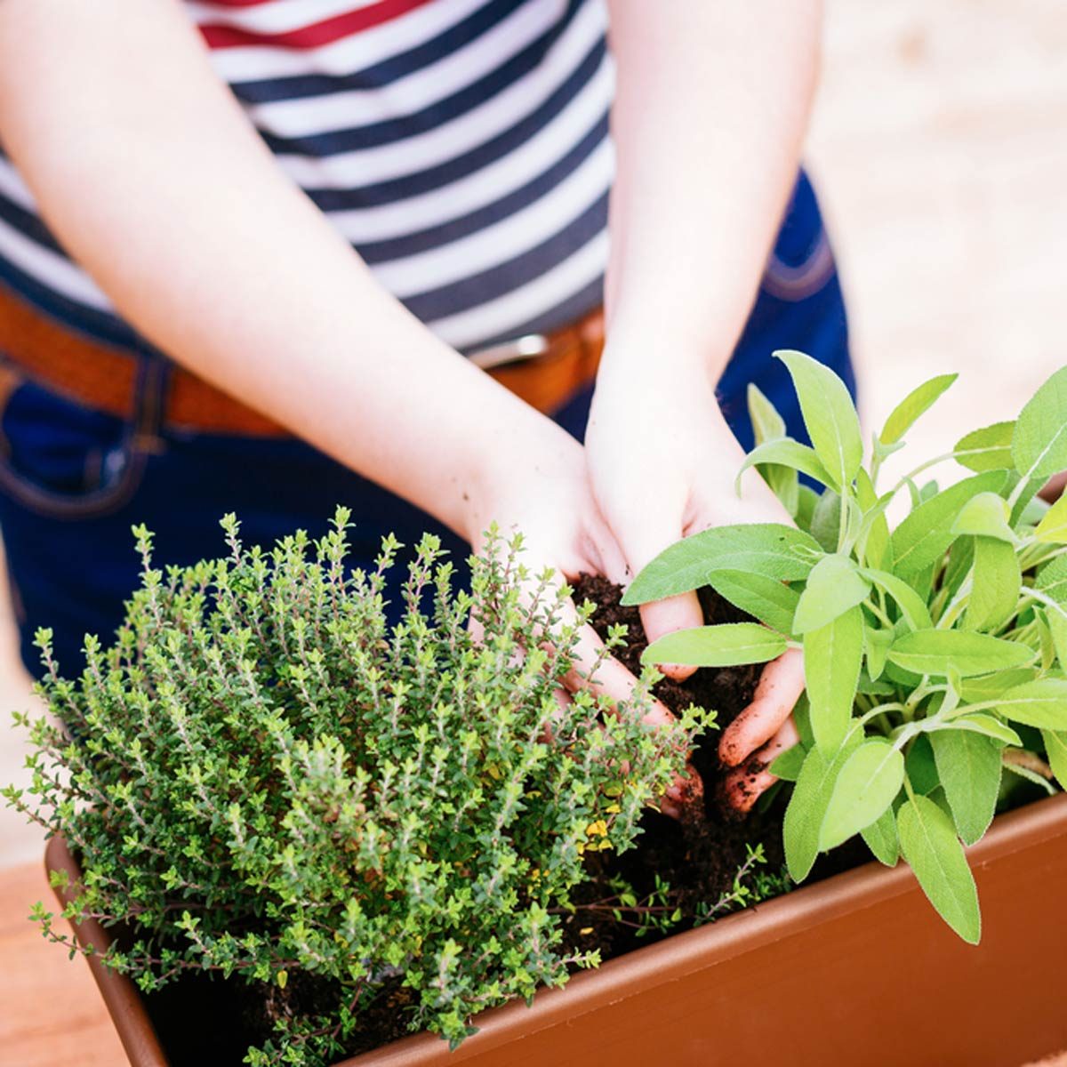 Balcony Gardening