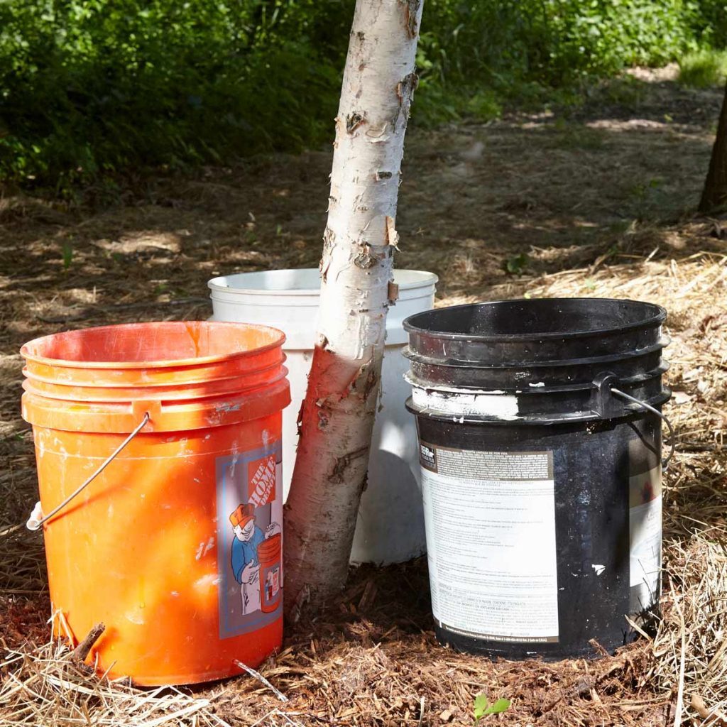 Three buckets of varying colors are positioned near a tree in a wooded area, with sunlight illuminating the scene and leaves in the background.