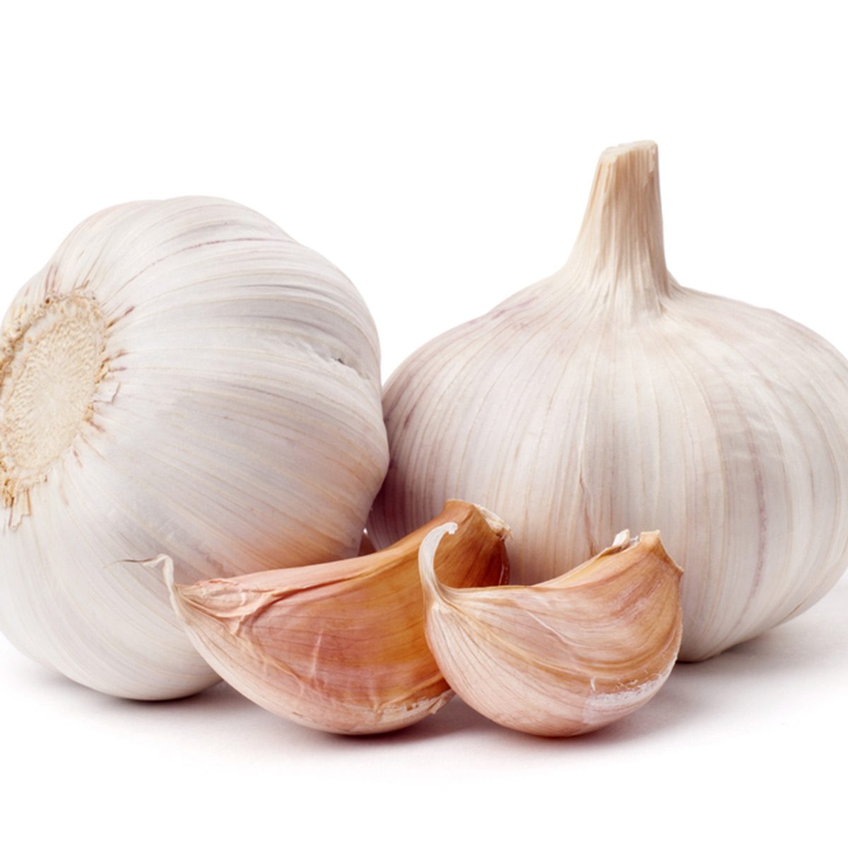 garlic
