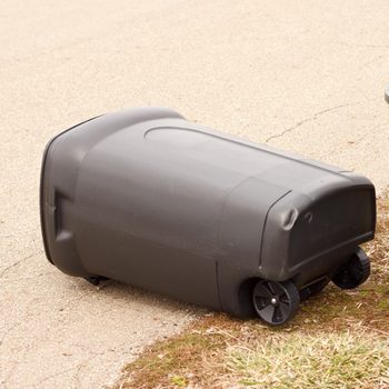 A black trash can lies on its side on a concrete surface, with grassy edges nearby. It appears slightly damaged and has wheels for mobility.