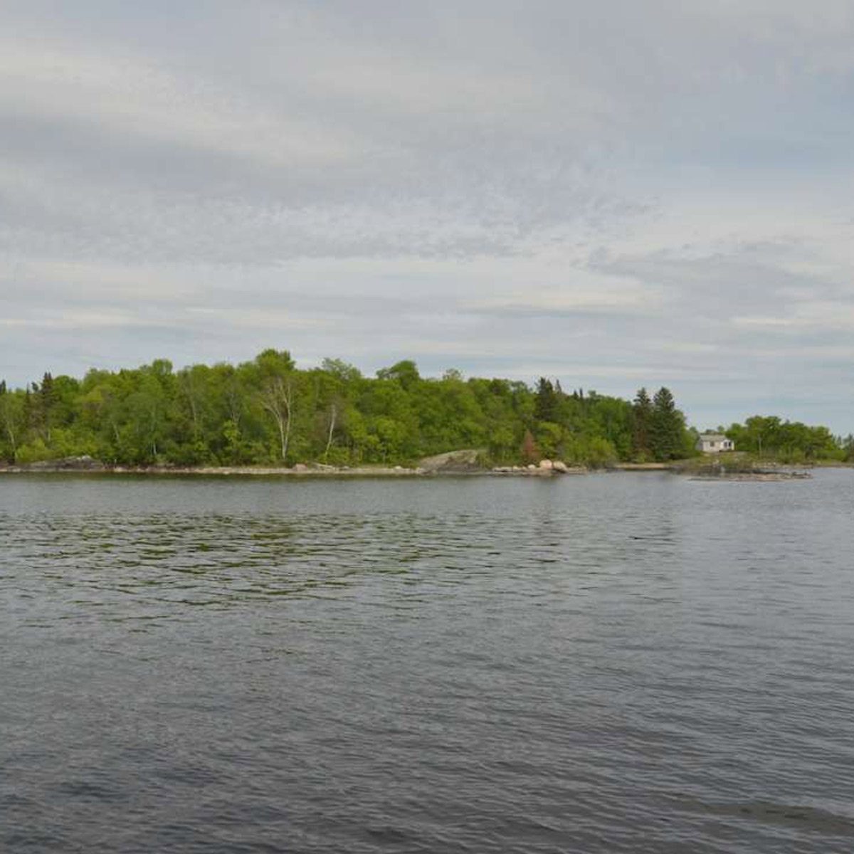 A green, wooded island sits in calm water, reflecting the cloudy sky above, with a small white building visible on the shore.