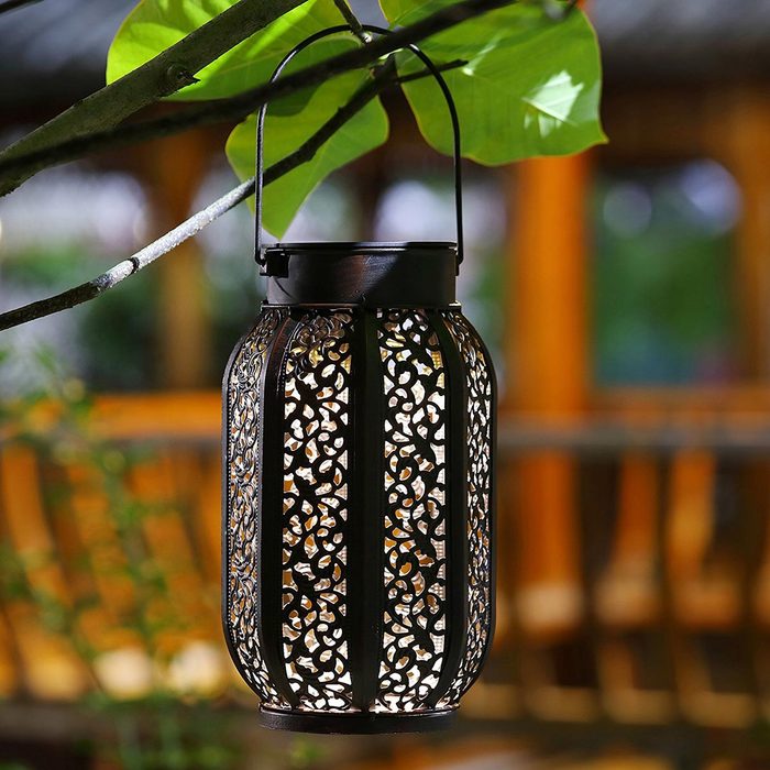 A decorative lantern hangs from a branch, casting intricate shadows, surrounded by greenery and a softly blurred wooden structure in the background.
