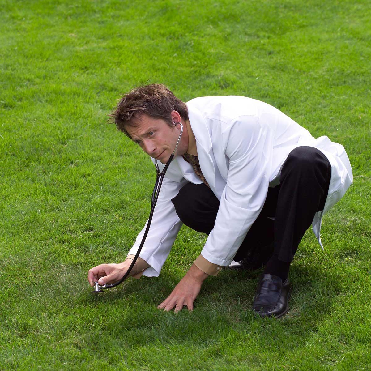 lawn care tips for fixing lawn spots demonstrated by a lawn