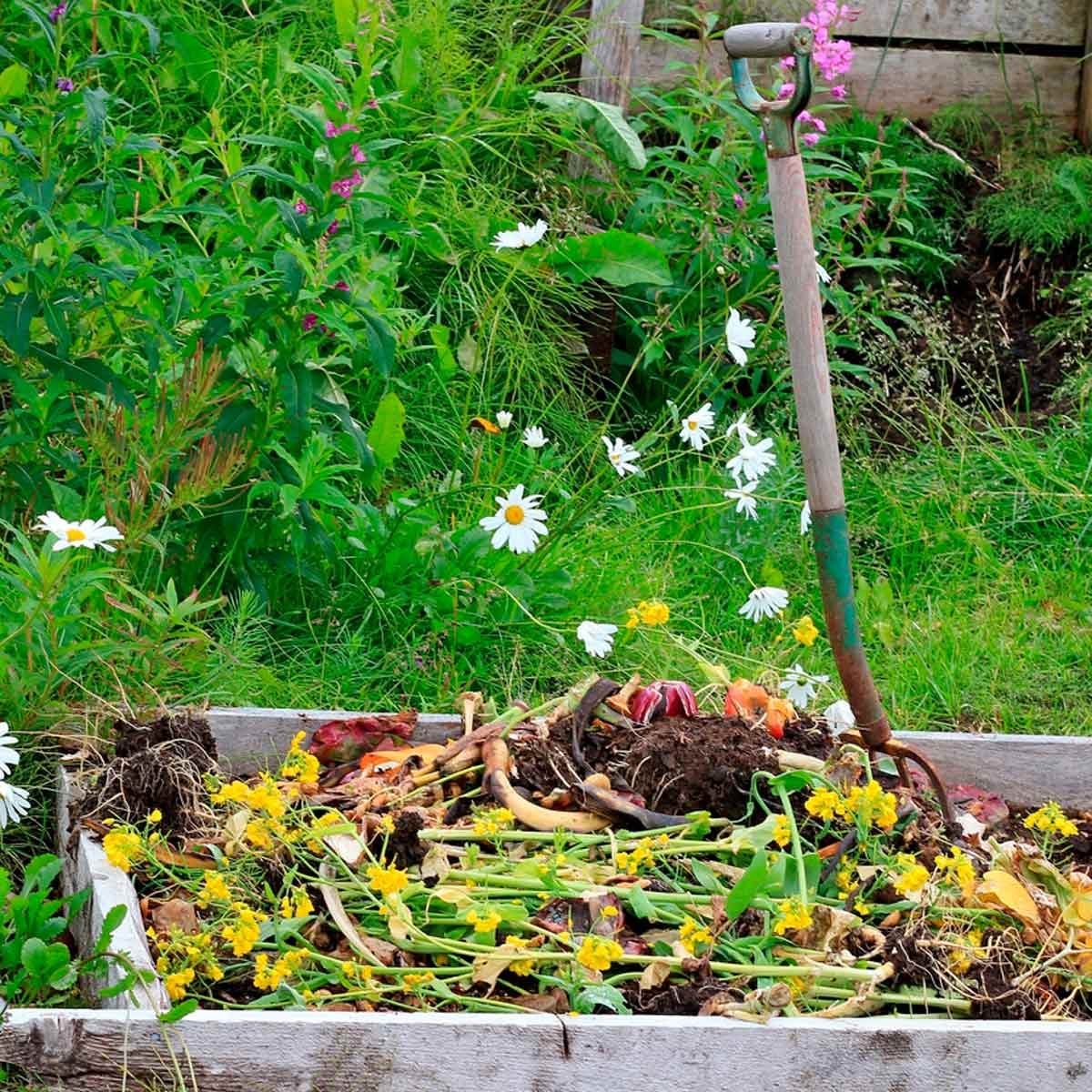 A garden shovel leans against a compost heap filled with kitchen scraps and plants, surrounded by green grass and scattered white daisies in the background.