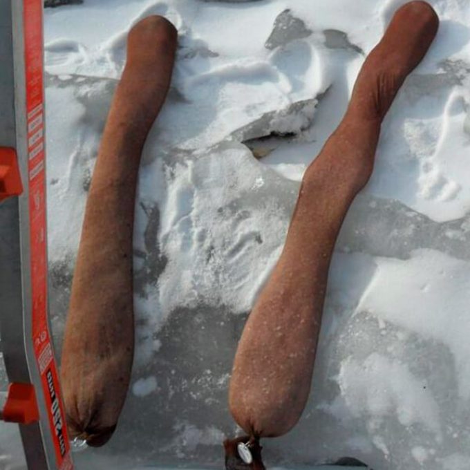 Pantyhose with salt on roof