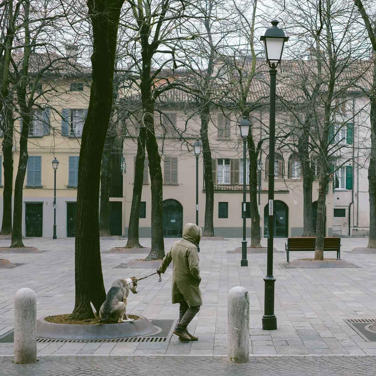 A person walks a dog through a deserted square, surrounded by bare trees and old buildings, with vintage lamp posts illuminating the area.