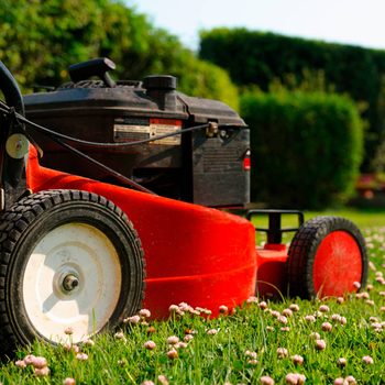 A red lawn mower rests on green grass, surrounded by small pink flowers, under a clear sky with a backdrop of neatly trimmed hedges.
