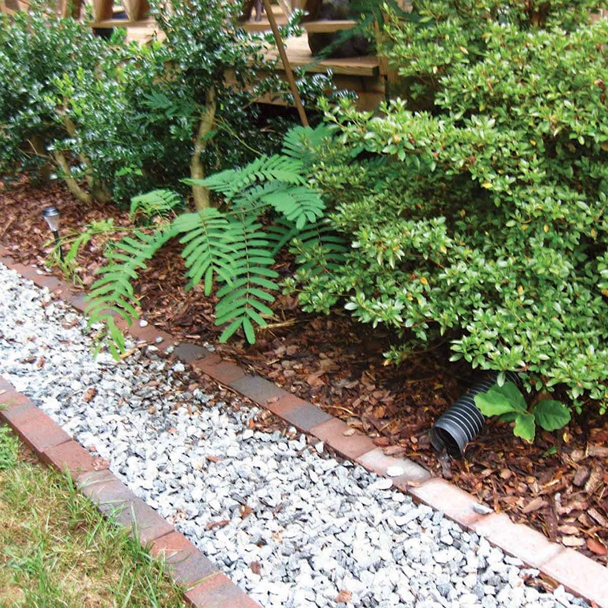 FH11MAR_516_50_R14-1200 lawn problems